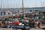 006-IMG_1244.jpg.small.jpeg