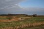 007-IMG_1784.jpg.small.jpeg