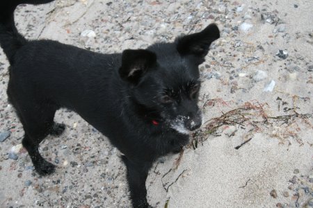 008-IMG_1818.jpg.medium.jpeg