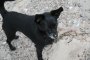 008-IMG_1818.jpg.small.jpeg