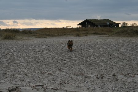 009-IMG_1820.jpg.medium.jpeg