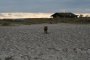 009-IMG_1820.jpg.small.jpeg