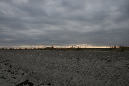 010-IMG_1829.jpg.medium.jpeg