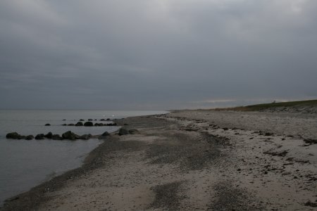 011-IMG_1833.jpg.medium.jpeg