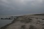011-IMG_1833.jpg.small.jpeg
