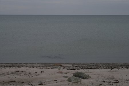 012-IMG_1847.jpg.medium.jpeg