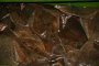 018-IMG_1953.jpg.small.jpeg