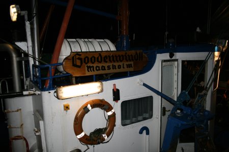 019-IMG_1958.jpg.medium.jpeg